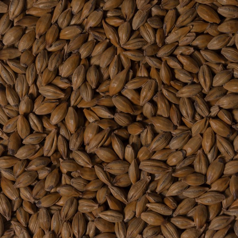 Amber Malt