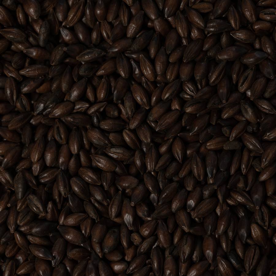 Black Malt