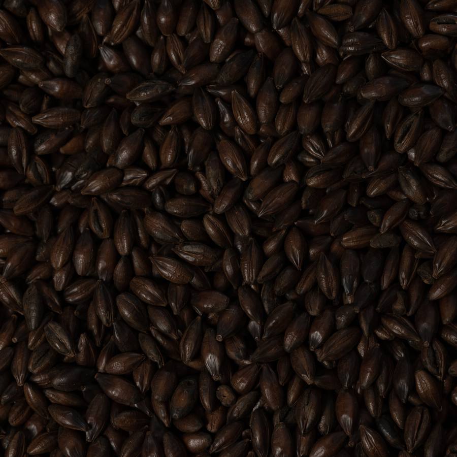 Black Malt