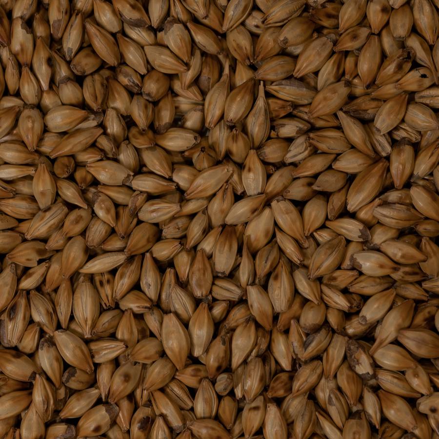 Medium Crystal Malt (ASBC 60)