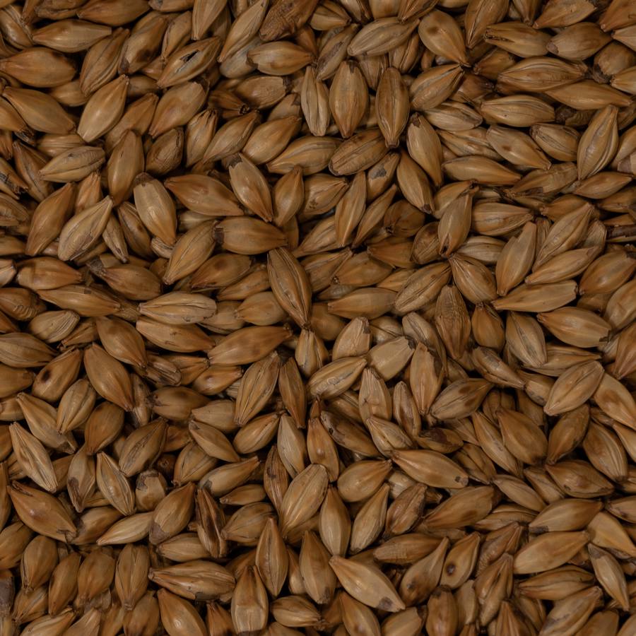 Standard Crystal Malt (ASBC 77)