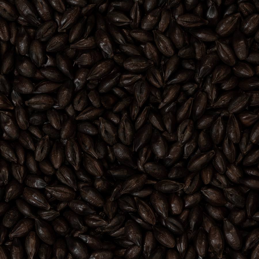 Roasted Barley