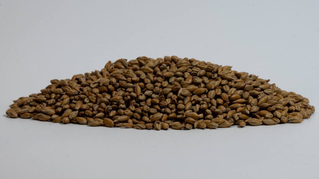 Heaped pile of Amber Malt