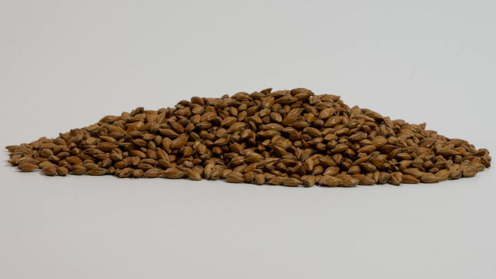 Heaped pile of Brown Malt