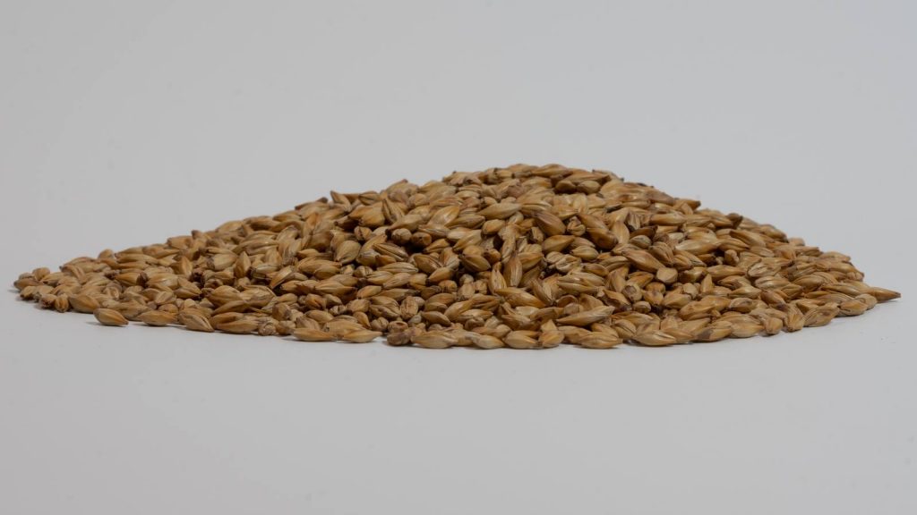 Heaped pile of Cara Malt