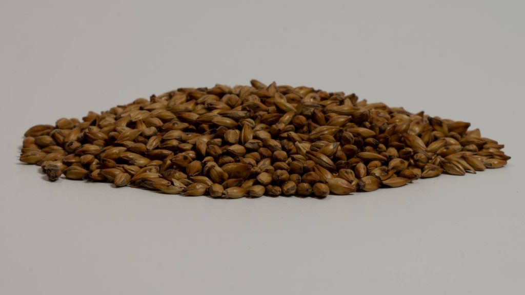 Heaped pile of Extra Dark Crystal Malt