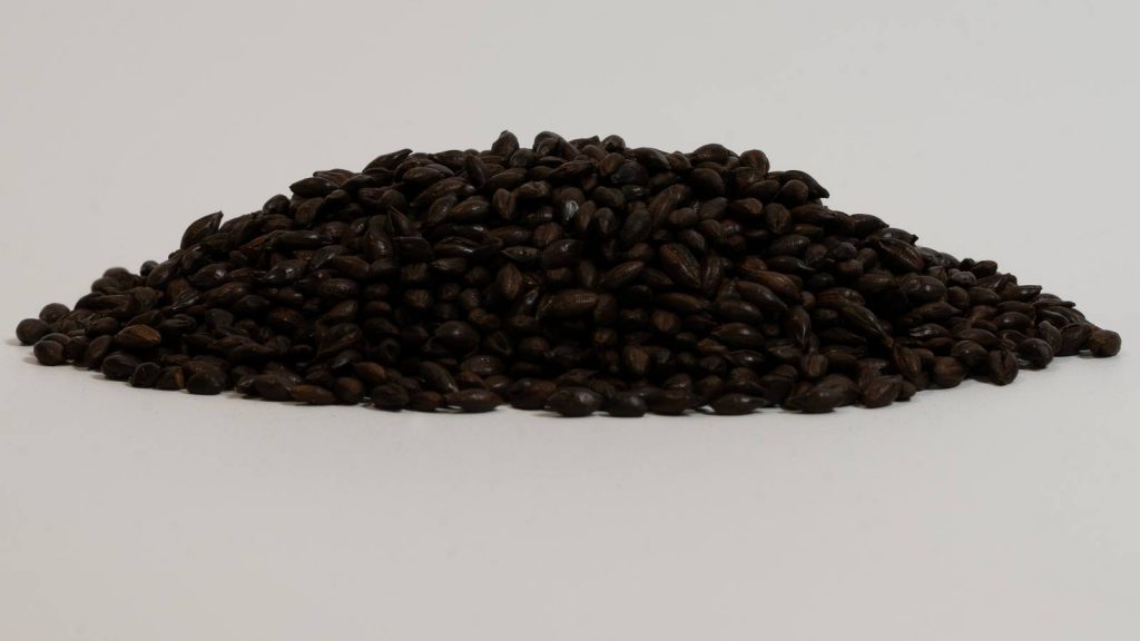 Heaped pile of Roasted Barley