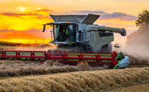 Combine working a field of Barley