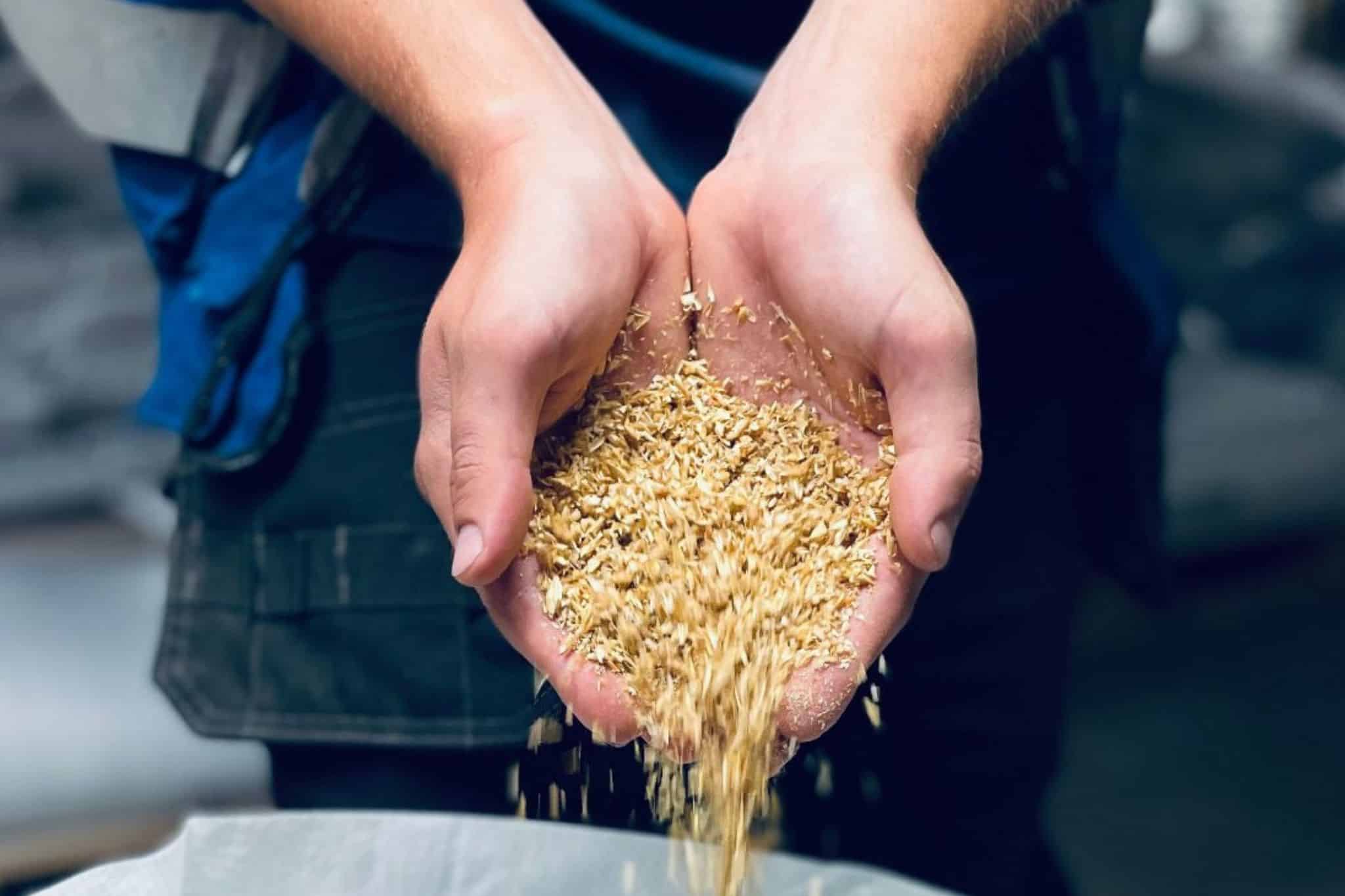 French And Jupps Milled Roasted Malt Crushed Malt