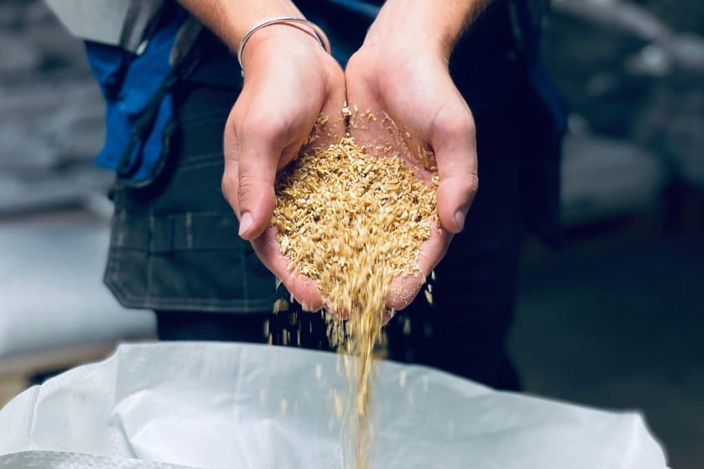 French & Jupps Milled Roasted Malt Crushed Malt