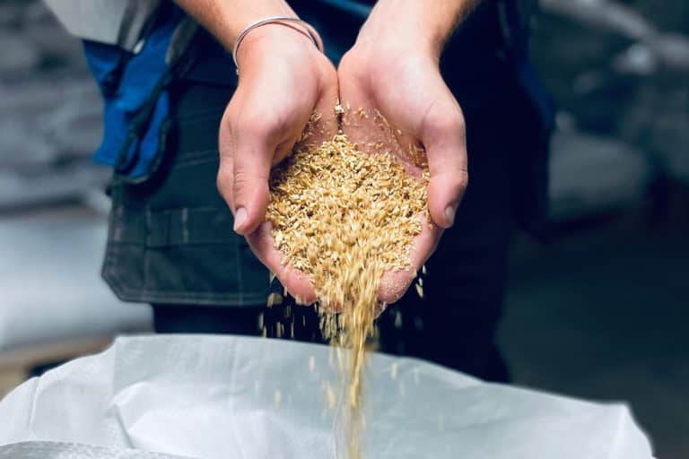 French & Jupps Milled Roasted Malt Crushed Malt